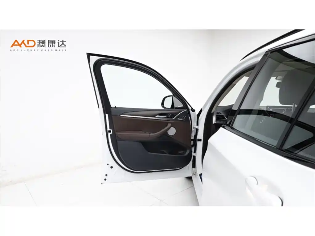 BMW X3 2023 xDrive30i Lead M