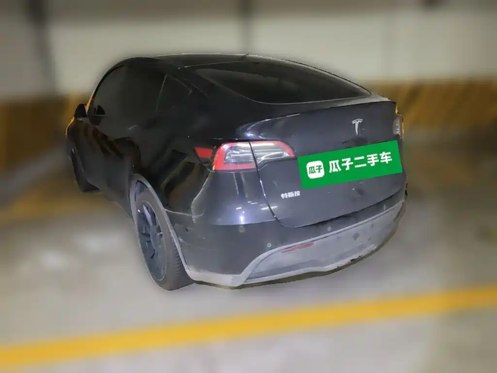 Tesla Model Y — миниатюра 25