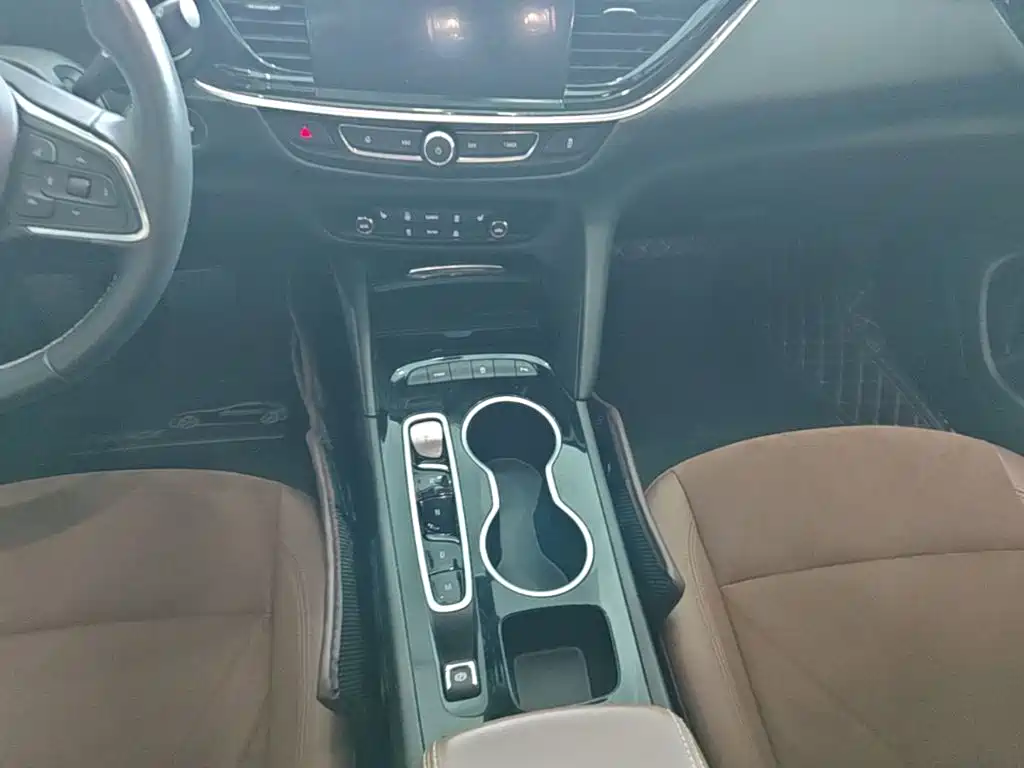 Buick Regal — миниатюра 14