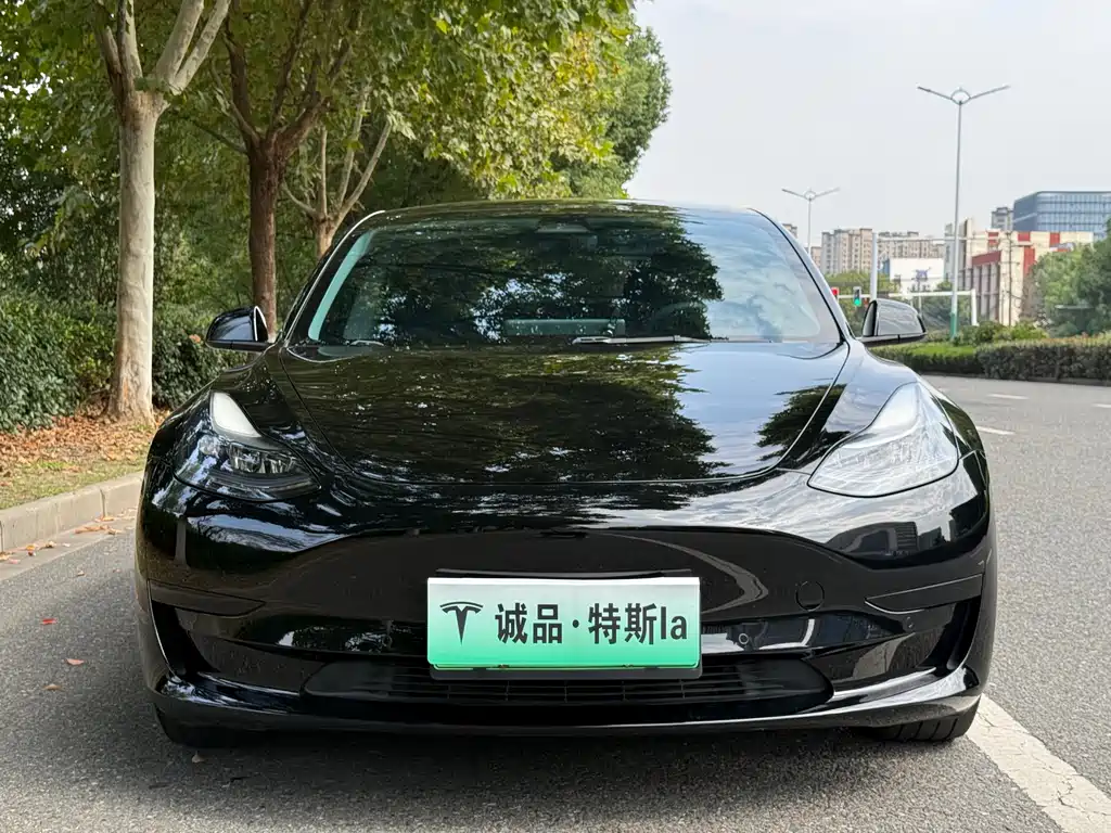 Tesla Model 3 — миниатюра 8