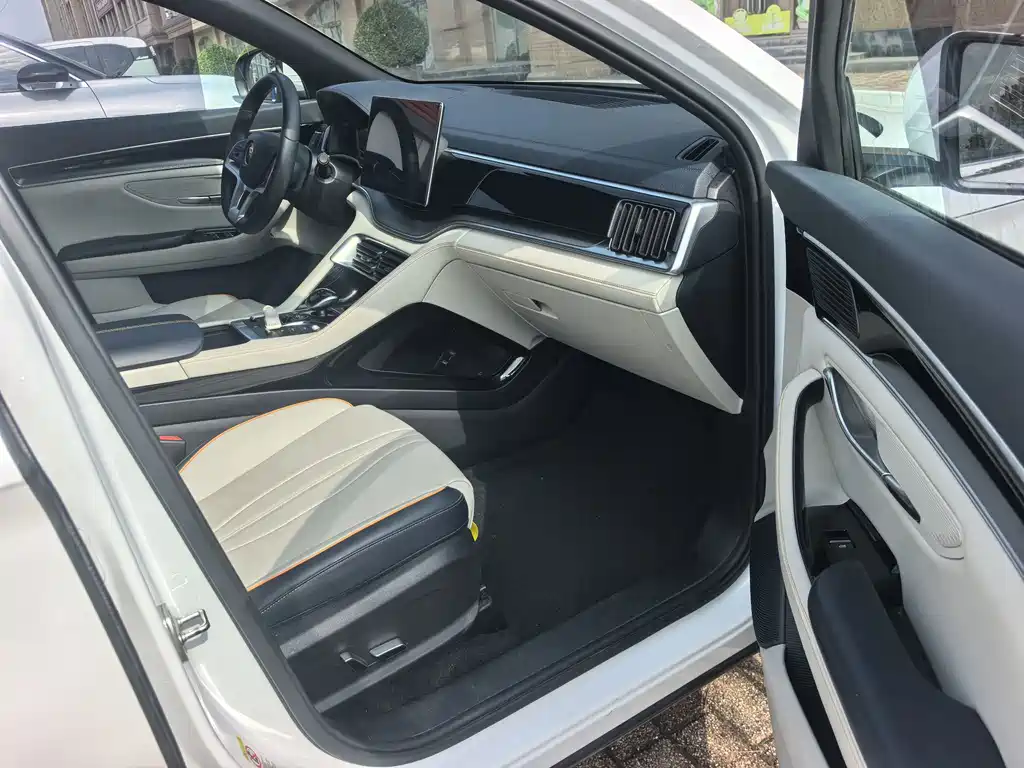 BYD PLUS New Energy — миниатюра 7