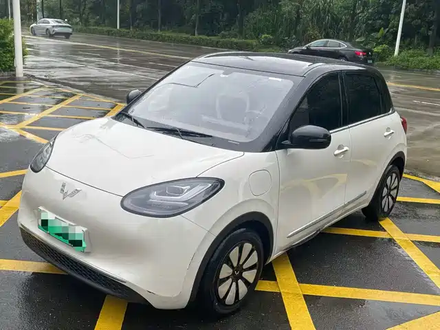 2024 Wuling Motors Binguo