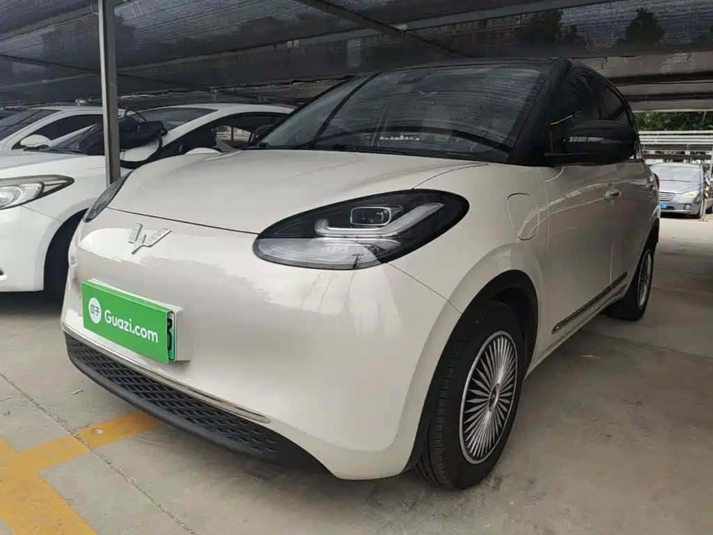 Wuling Binguo 2023 333km Enjoy +