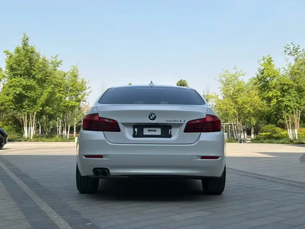 BMW 5 Series 5 2017 525Li Lead