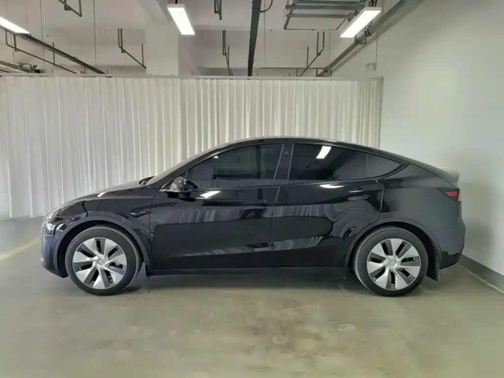 Tesla Model Y — миниатюра 2