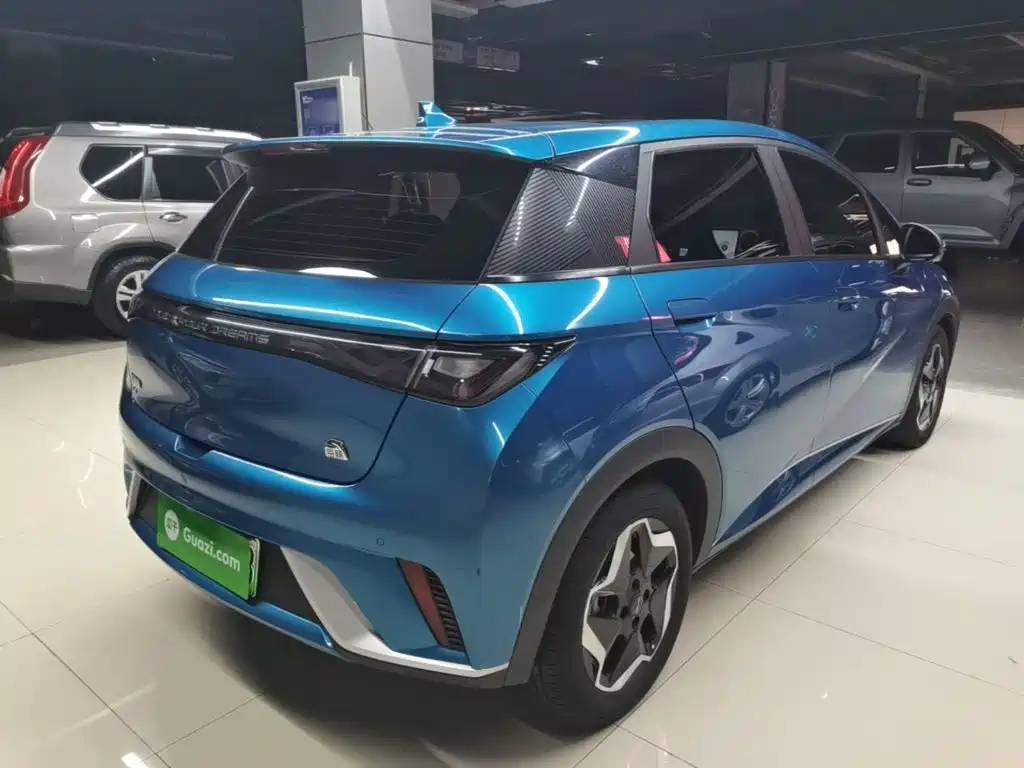 BYD Dolphin 2021 405km Fashion