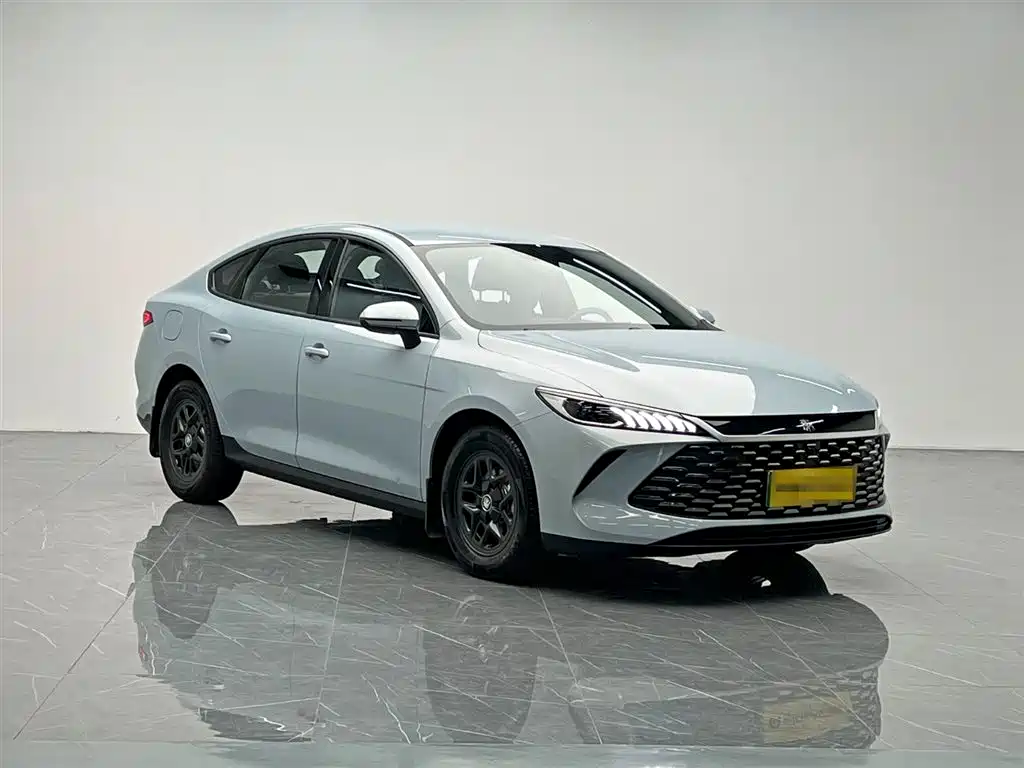 BYD Qin Plus PLUS 2025 DM-i Smart Drive 55KM Lead