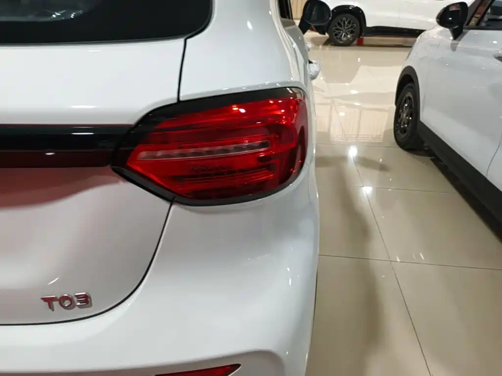 Leapmotor T03 2025 310