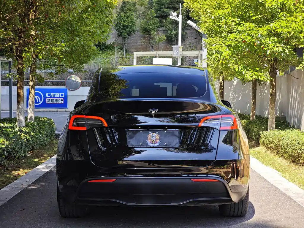 Tesla Model Y — миниатюра 17