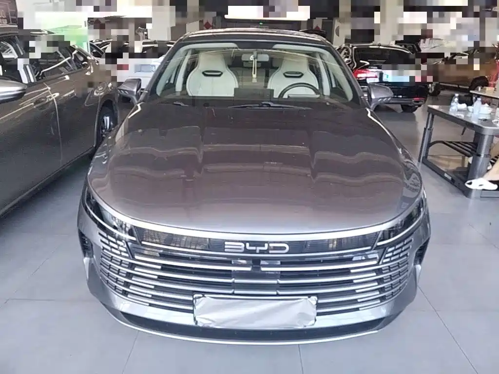 BYD Destroyer 05 2024 DM-i 55KM Luxury