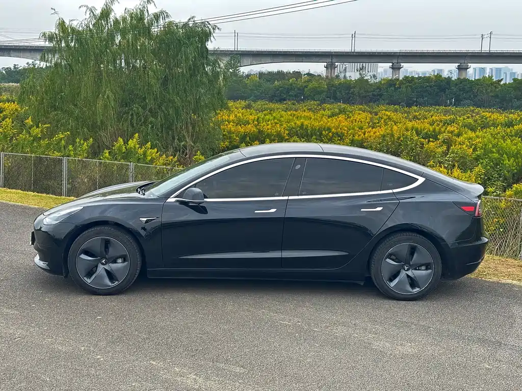 Tesla Model 3 — миниатюра 3