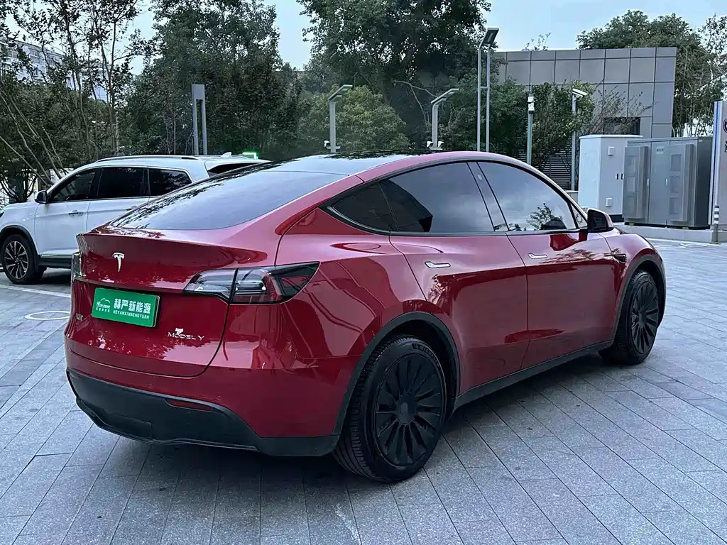 Tesla Model Y — миниатюра 9