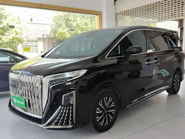2025 Hongqi HQ9