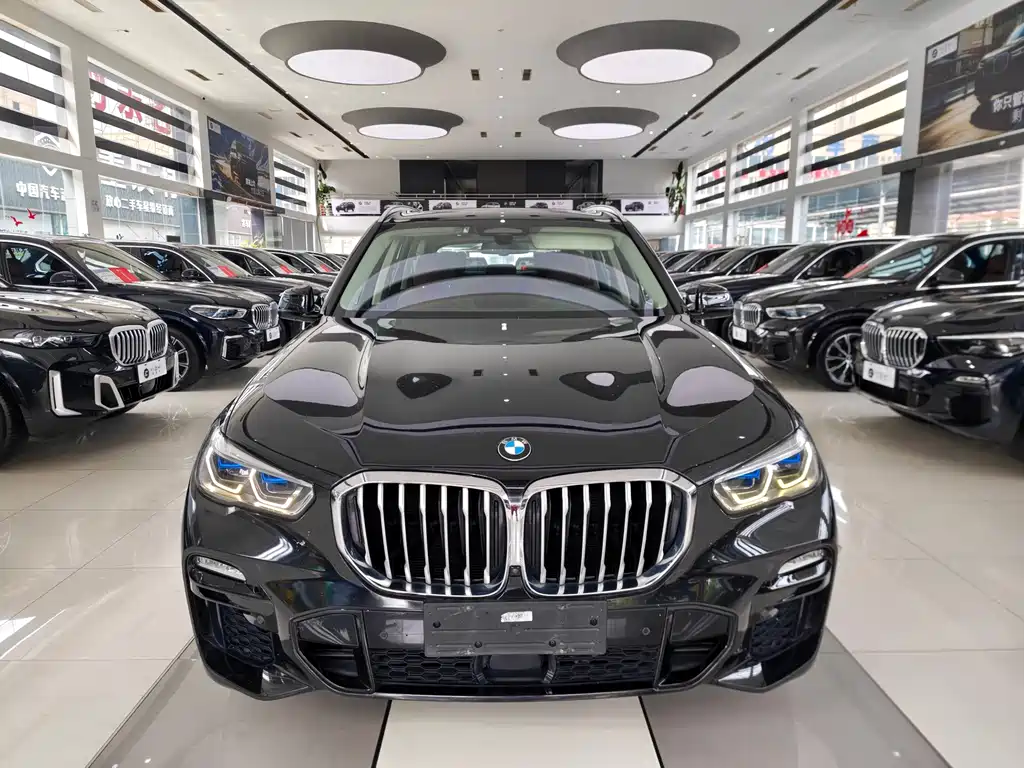 BMW X5 (Import) — миниатюра 2