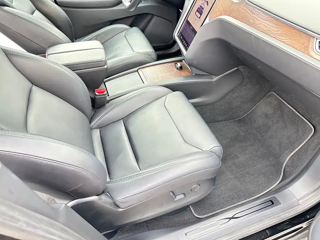 Tesla Model X — миниатюра 8