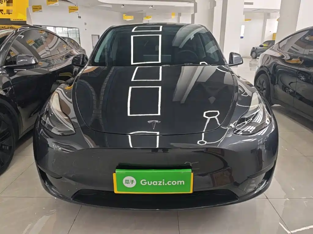 Tesla Model Y — миниатюра 3