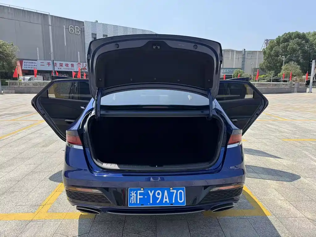 Hyundai Fista — миниатюра 18