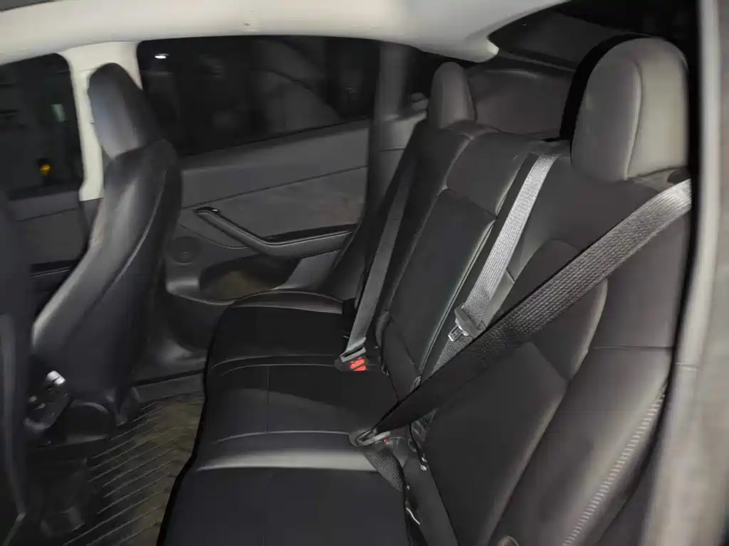 Tesla Model Y — миниатюра 6