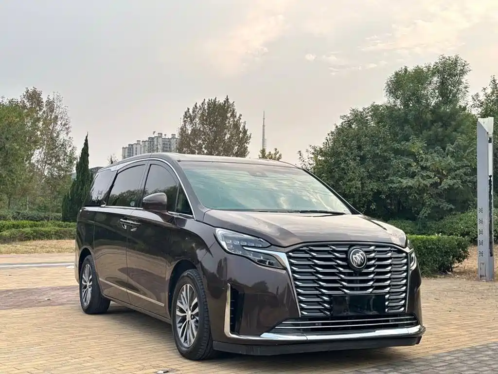 Buick GL8 — миниатюра 3