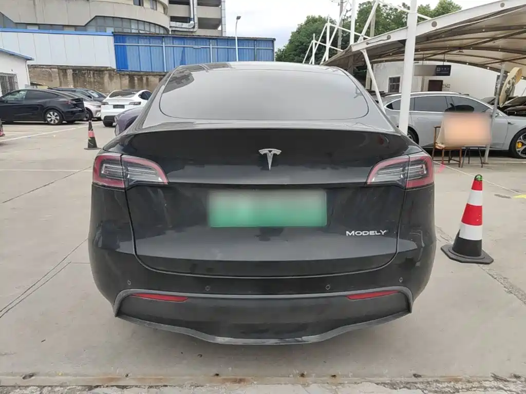 Tesla Model Y — миниатюра 6