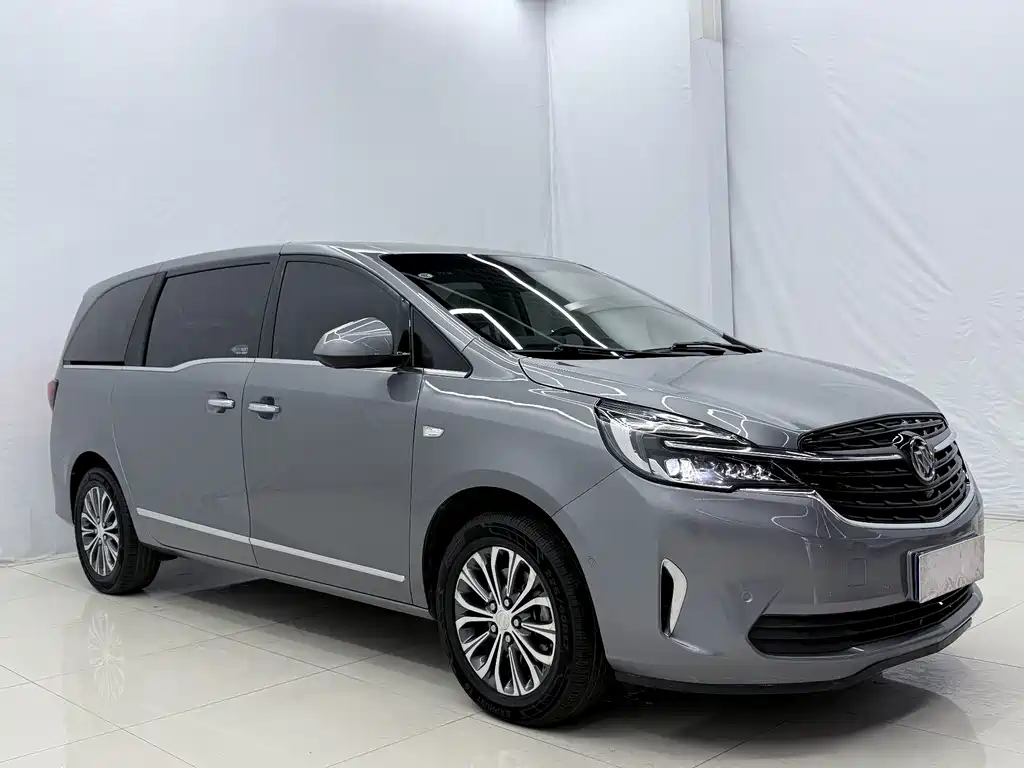 Buick GL8 — миниатюра 3