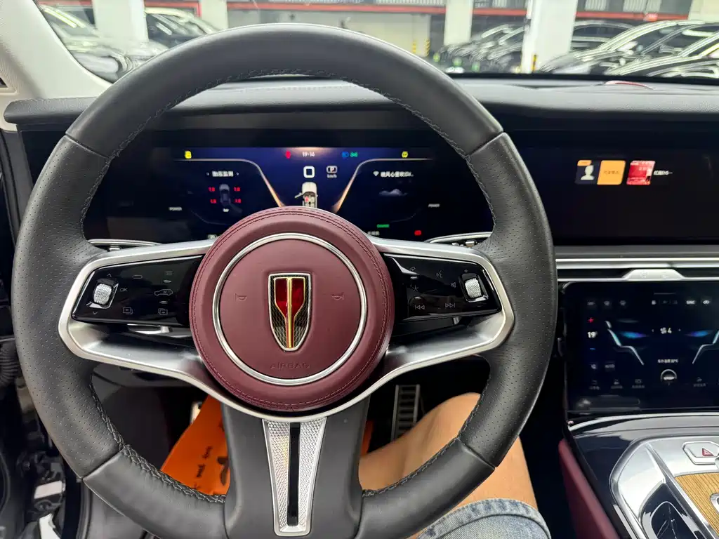 Hongqi Hongqi E-HS9 — миниатюра 5