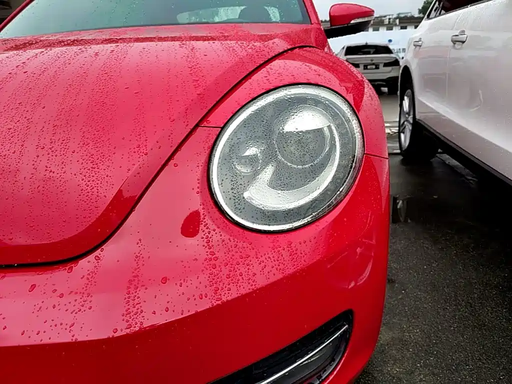 Volkswagen Beetle — миниатюра 24