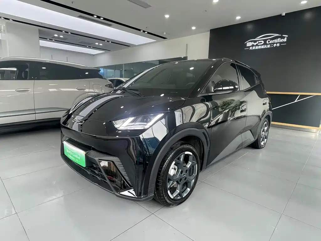 BYD Seagull