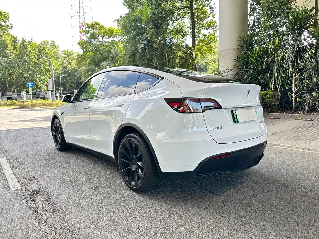 Tesla Model Y — миниатюра 4