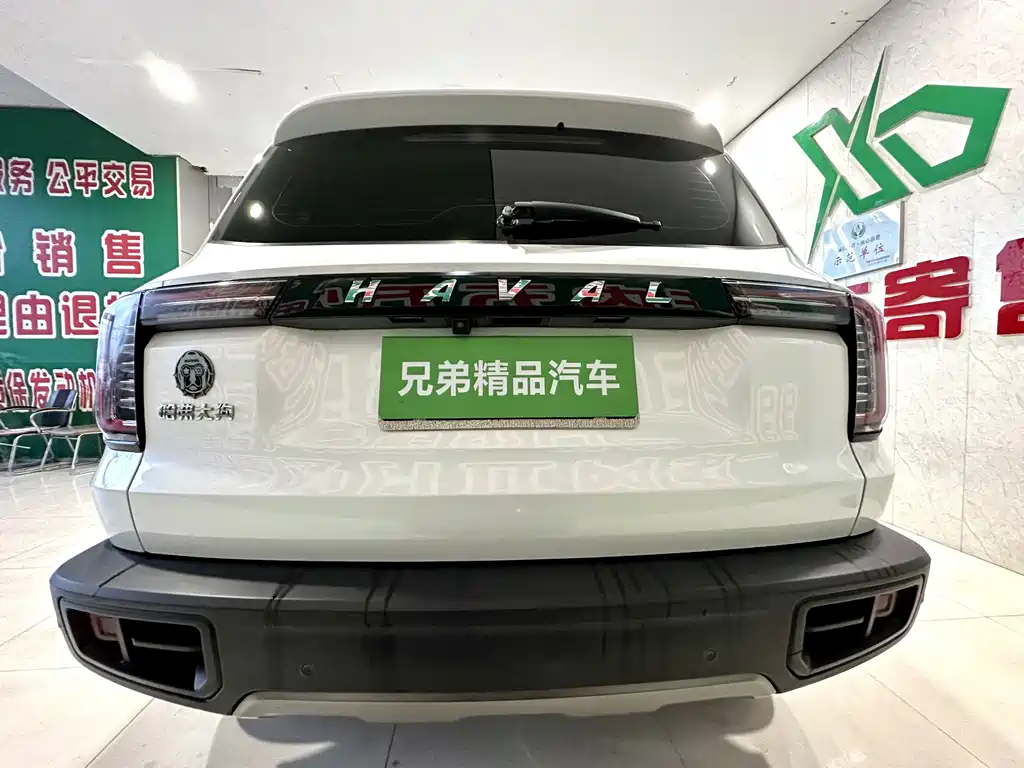 HAVAL BIG DOG