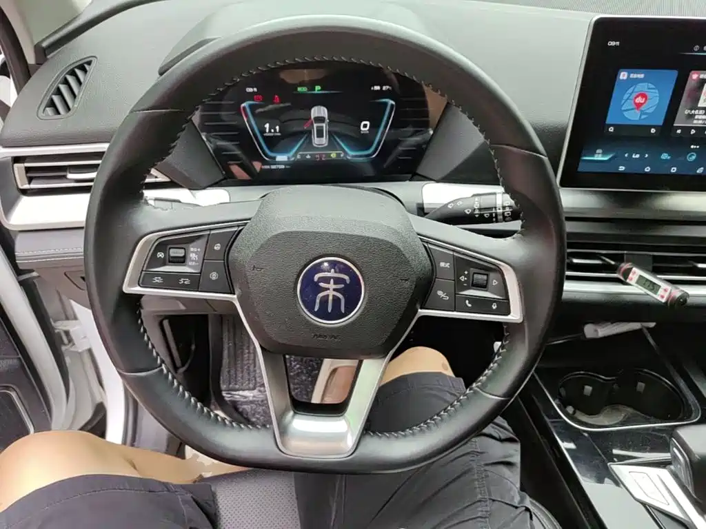 BYD Pro — миниатюра 11