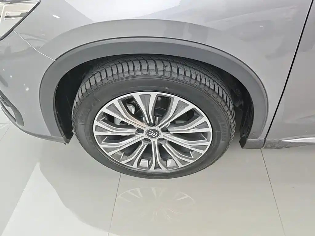 BYD Pro New Energy — миниатюра 23