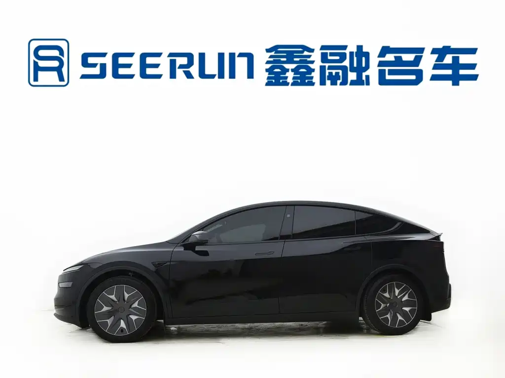 Tesla Model Y L — миниатюра 10