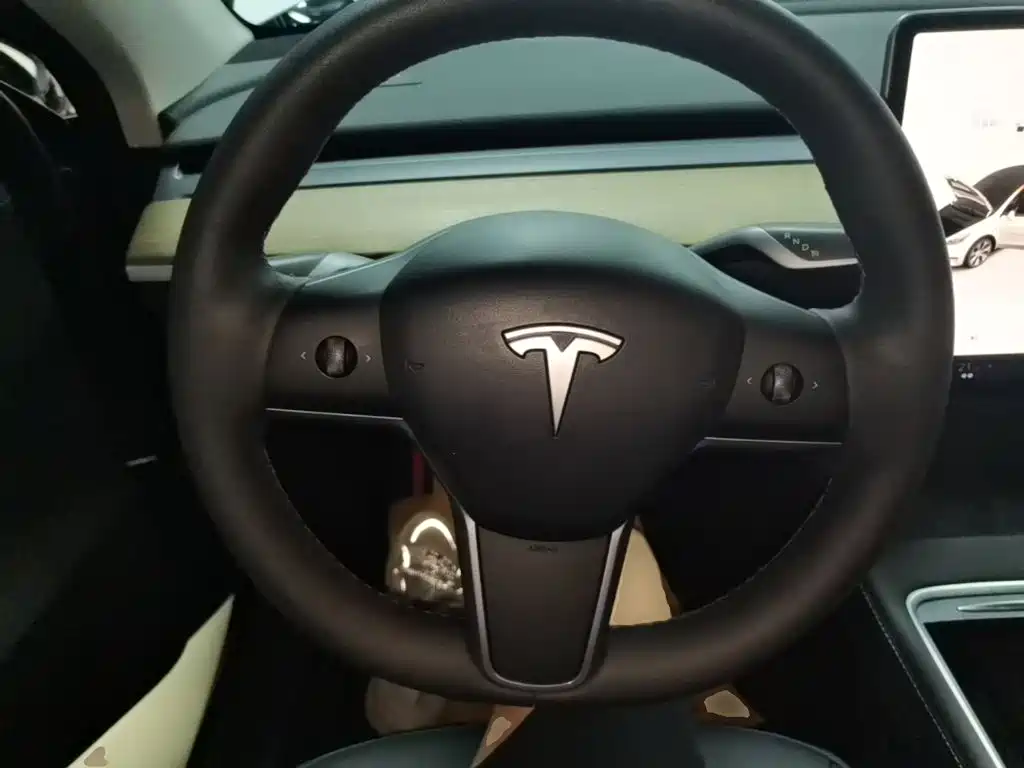 Tesla Model Y — миниатюра 11