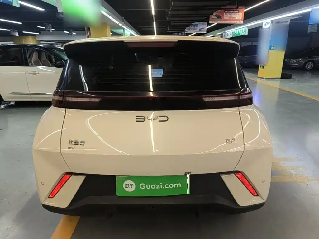 BYD Seagull 2024 305km