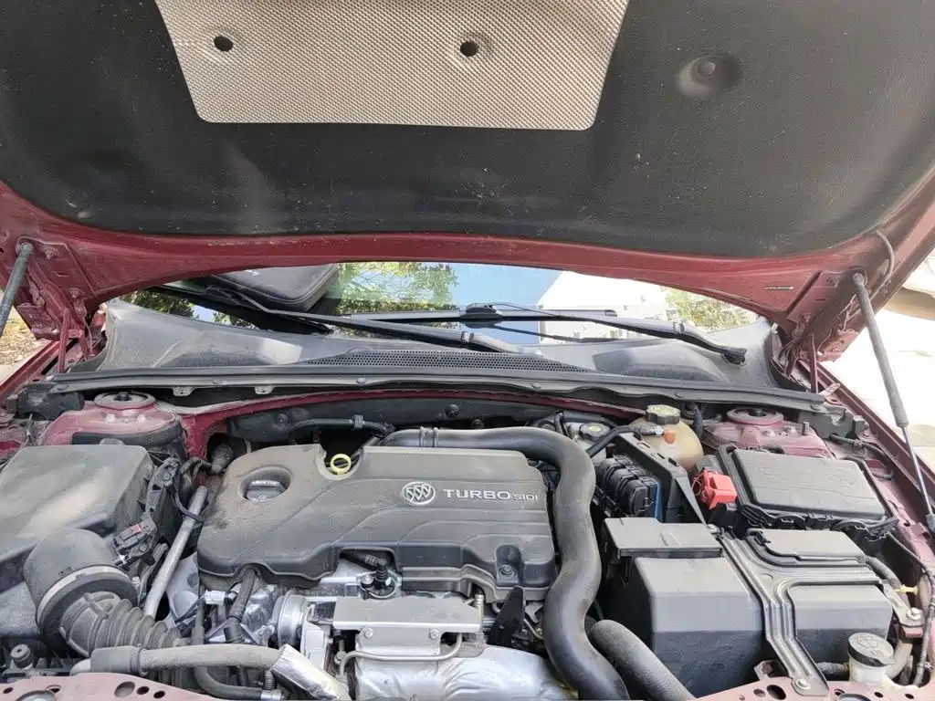 Buick Regal — миниатюра 16