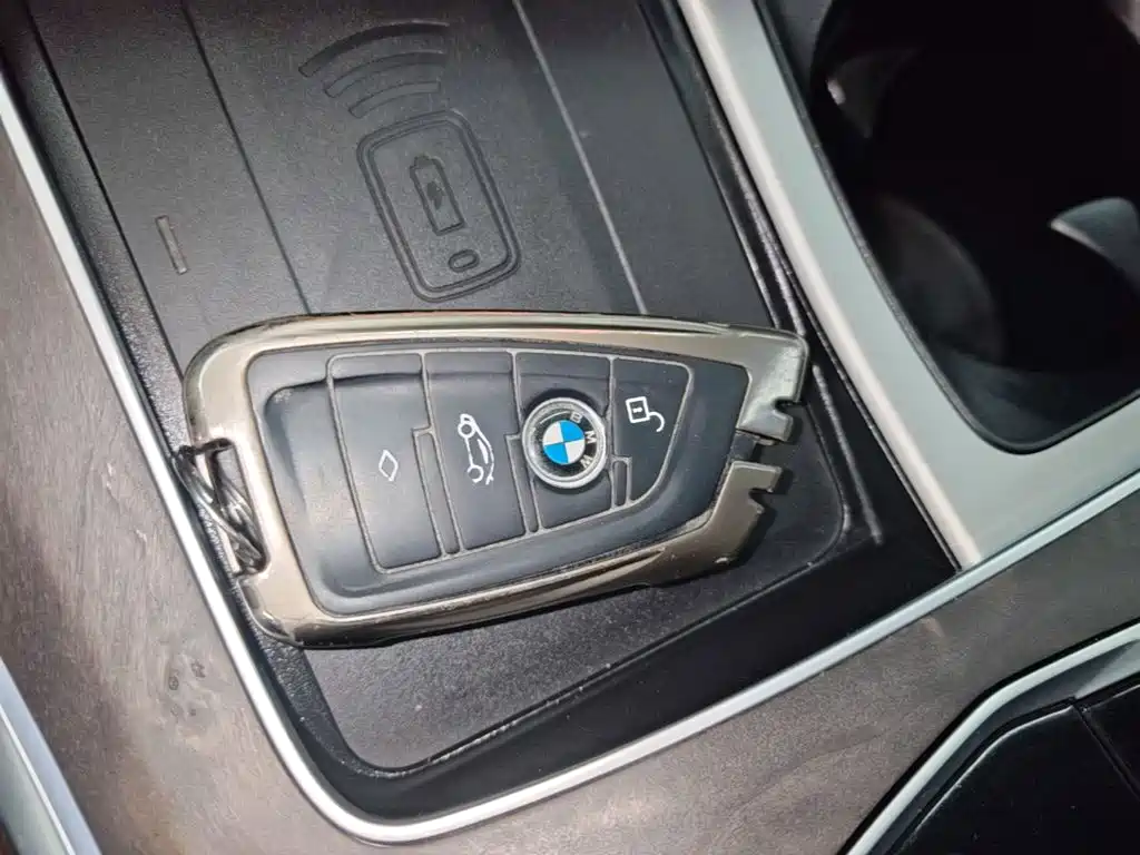 BMW X5 — миниатюра 9