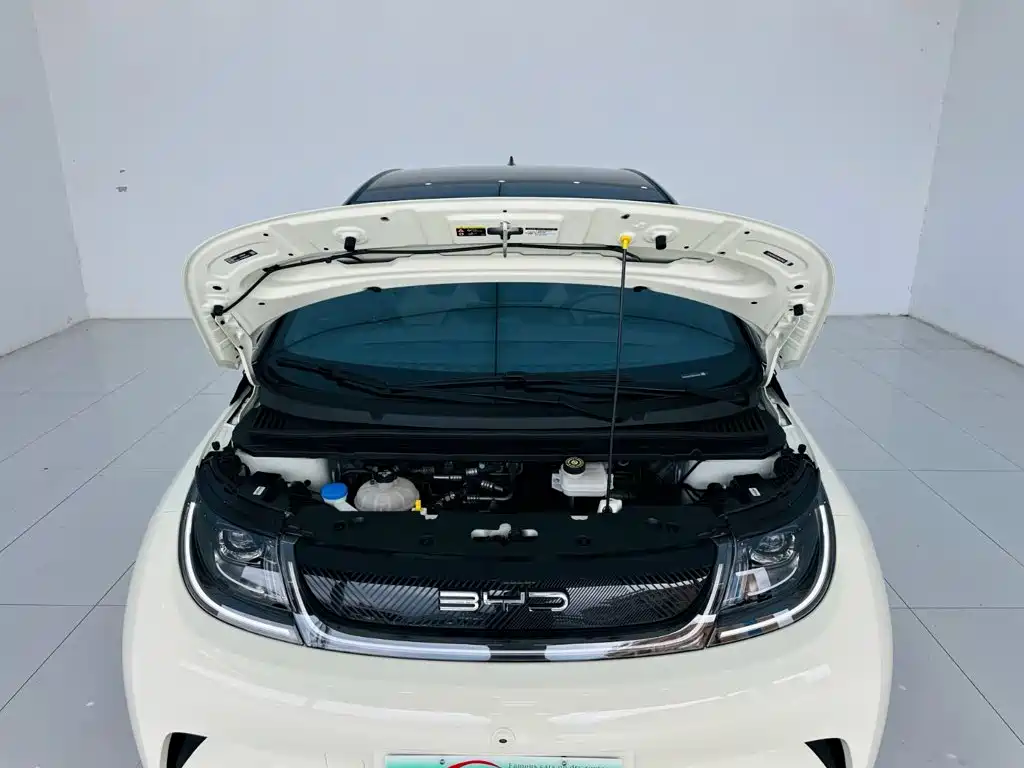 BYD Dolphin — миниатюра 24