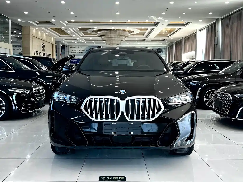 BMW X6 — миниатюра 3