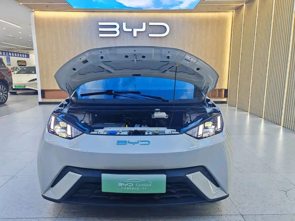 BYD Seagull — миниатюра 3