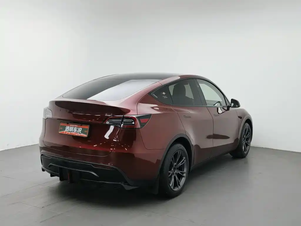 Tesla Model Y — миниатюра 2