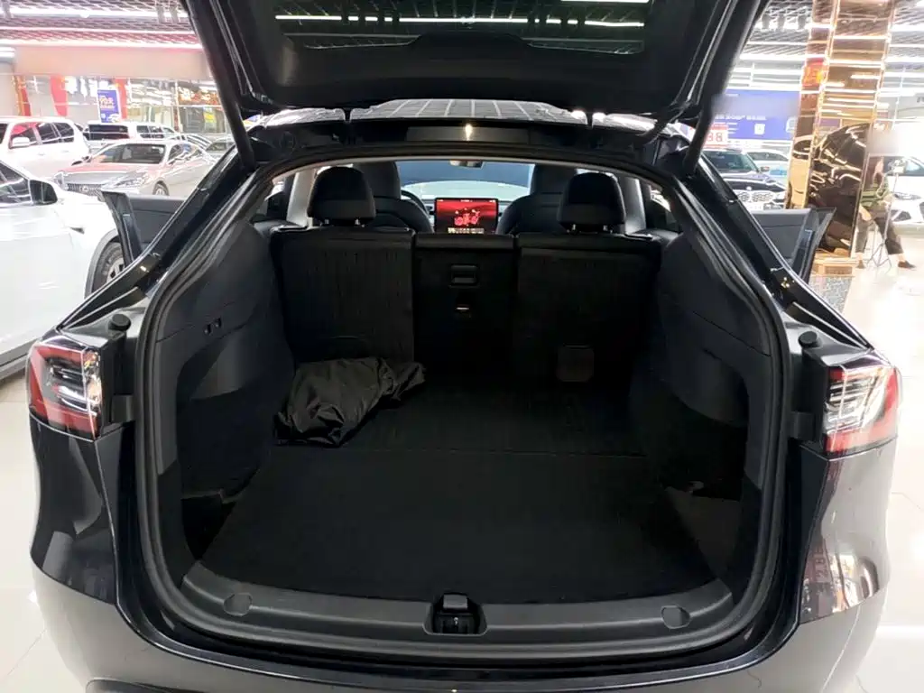 Tesla Model Y — миниатюра 19