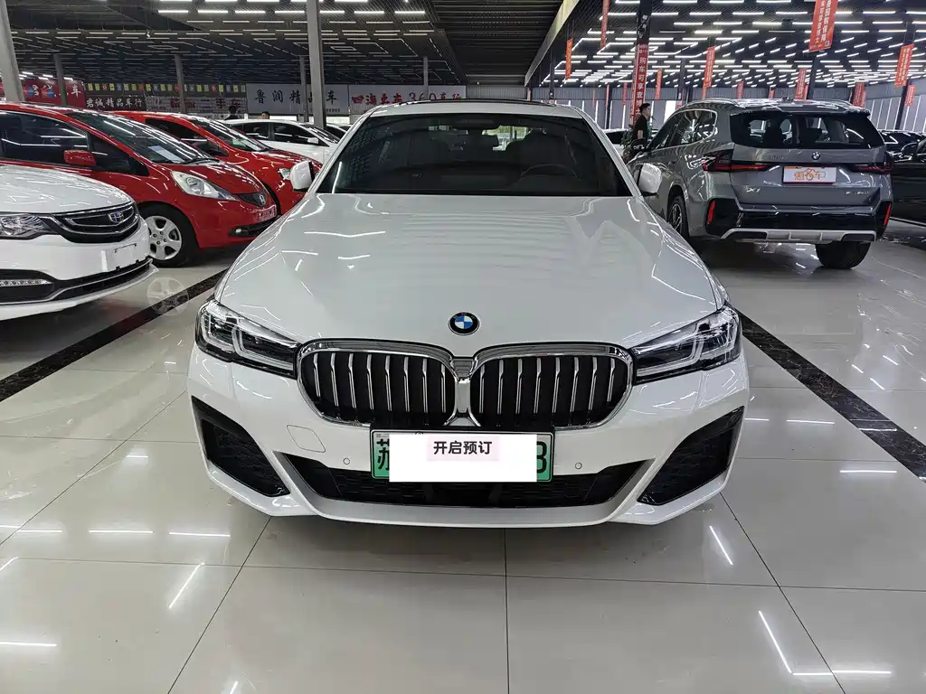 BMW 5 Series New Energy 2021