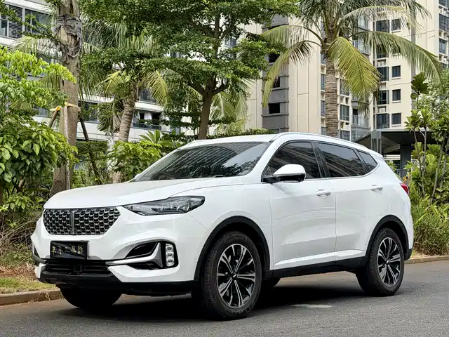 2021 Wey VV6