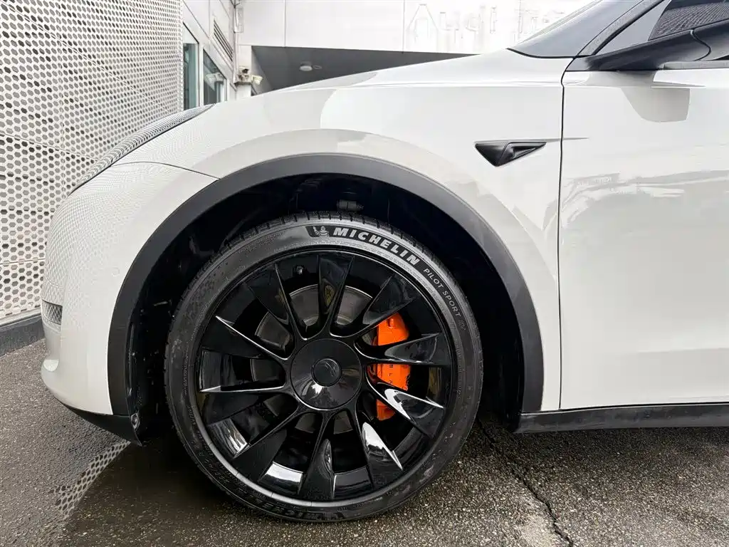 Tesla Model Y — миниатюра 10