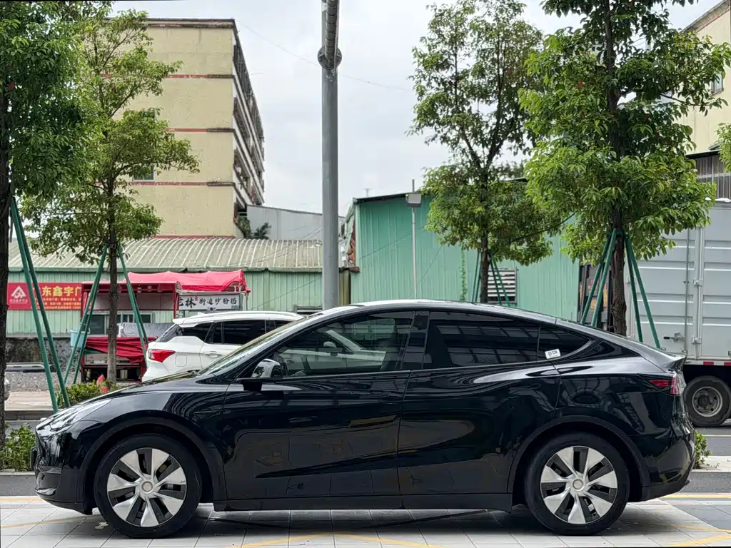 Tesla Model Y — миниатюра 8