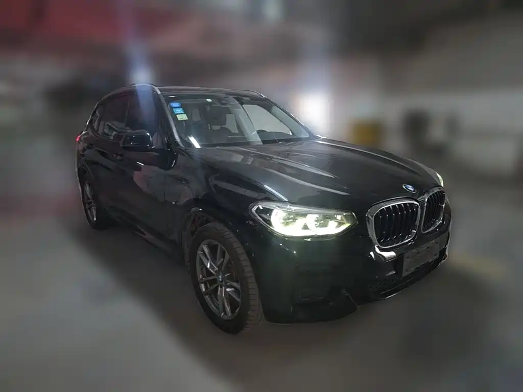 BMW X3 — миниатюра 6