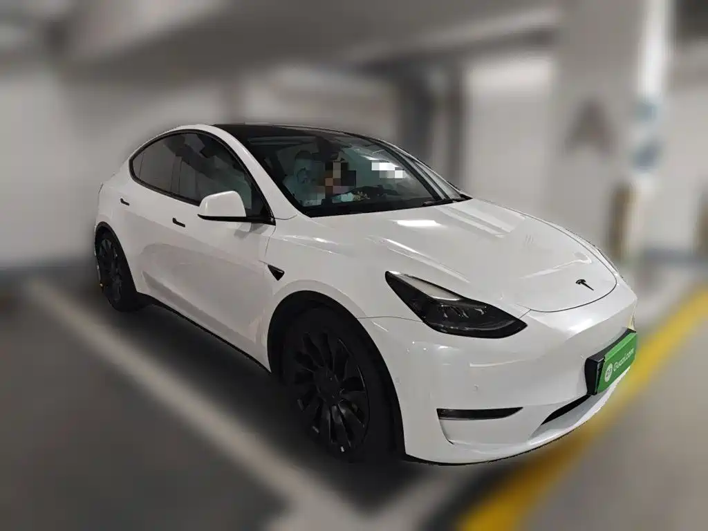 Tesla Model Y — миниатюра 3