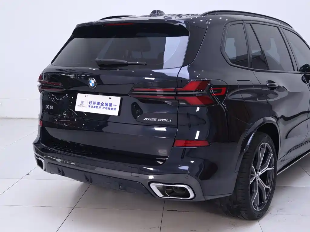 BMW X5 — миниатюра 8