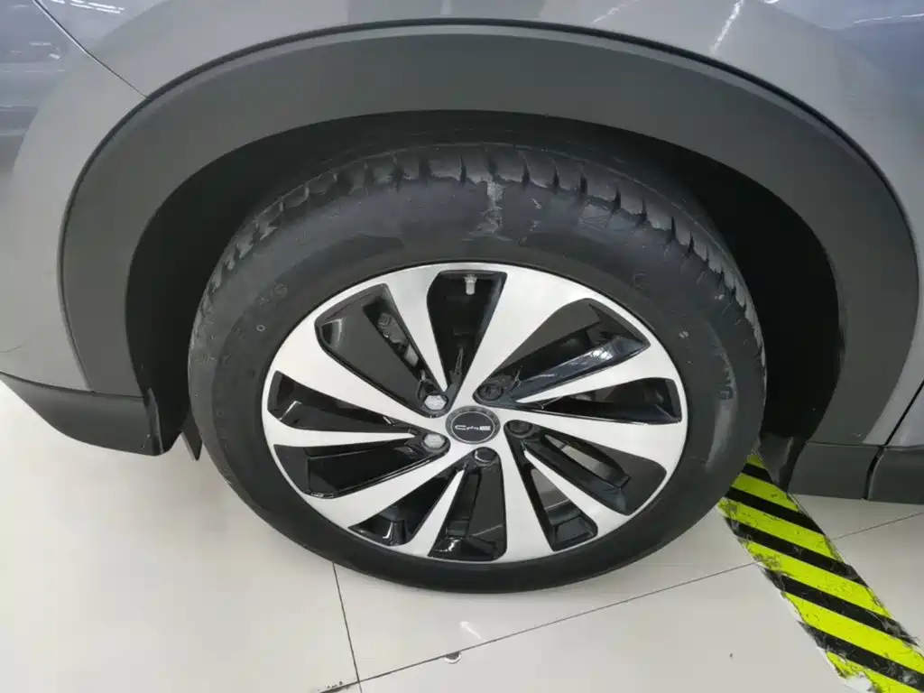 BYD PLUS New Energy — миниатюра 23